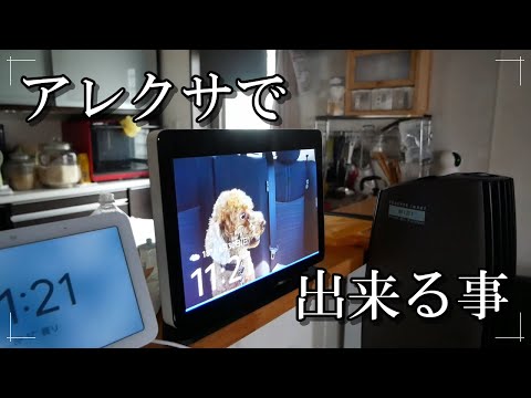 アレクサで出来る事