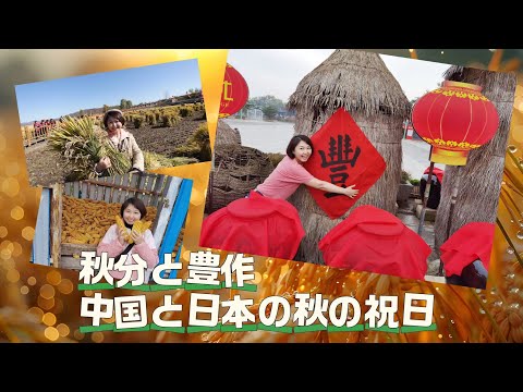 【AちゃんのChinanow】秋分と豊作 中国と日本の秋の祝日