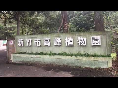 新竹科學園區附近的高峰植物園免費入園古道登山遊園