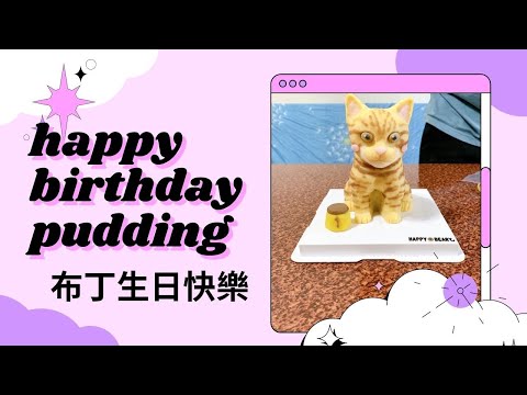 【 貓🐈 】布丁生日快樂🎂，恭喜一歲了，比起吃我更愛玩，更愛和大家相處｜小羅&郁妹