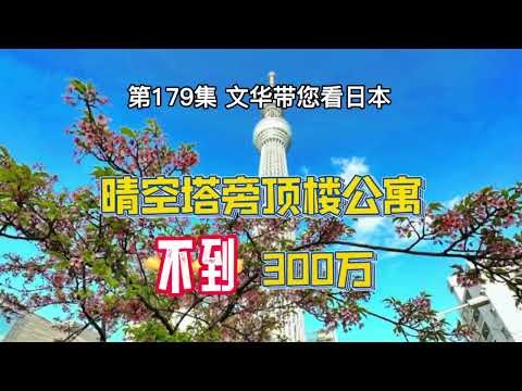 RealEstate-東京晴空塔旁頂樓公寓 | 大戶型—採光好 | 距車站徒步僅7分鐘 [日本房產] [留學]#life #japan #tokyo #house #youtube #home