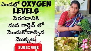 ఎండల్లో oxygen levels పెరగడానికి మన ఇంటి దగ్గర పెంచుకోవాల్సిన మొక్కలు/naliniravindraprasda