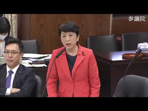 福島みずほ　2023年11月15日　参議院・地方創生及びデジタル社会特別委員会