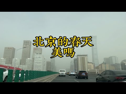 北京的春天美吗？这才是北京大多时的样子