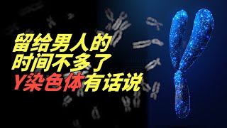 留给男人的时间不多了，Y染色体或在460万年后消失