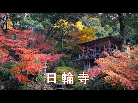 【日輪寺】4K EOS R7