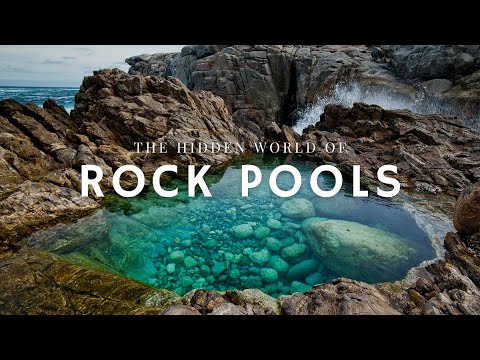 The Secret Life of Rock Pools