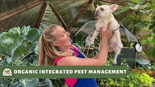 Organic Integrated Pest Management in a Greenhouse