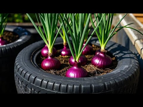 FULLTIME: Useful Tips & Tricks Grow Vegetables Beginner's Guide/ How to Create a Balcony Garden