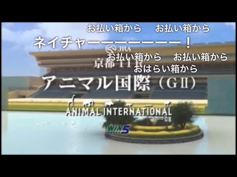 【コメ付き】JAPAN WORLD CUP 3 〜第4レース 出馬紹介〜 (60FPS)