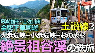 【土讃線3】絶景！祖谷渓の鉄旅　阿波池田～土佐山田間全16駅下車周遊