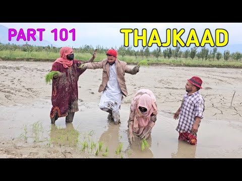 Thajkaad | Cxapal Family Kaer Thal | Part 101 | Kashmiri Drama