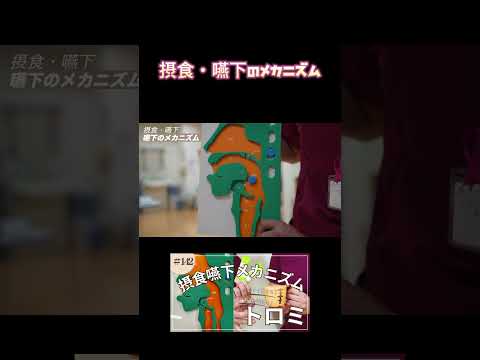 摂食嚥下のメカニズム#shorts #nurse #摂食嚥下