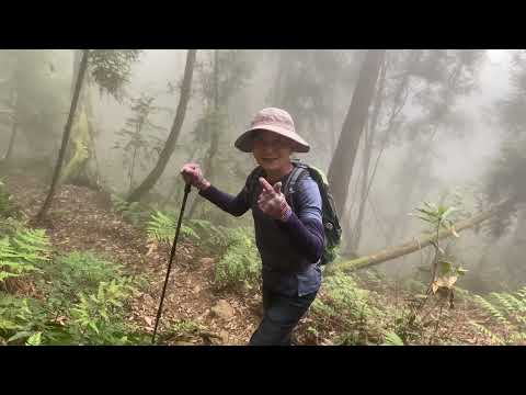 溪頭鳳凰山北嶺→天文台南嶺→留龍頭下山. Xitou North Ridge → South Ridge of the Observatory →Descend from "Liu Longtou"