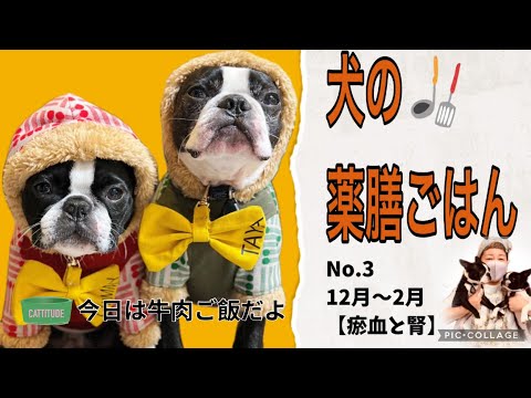 第3回【瘀血と腎】犬の薬膳ごはん12月から2月