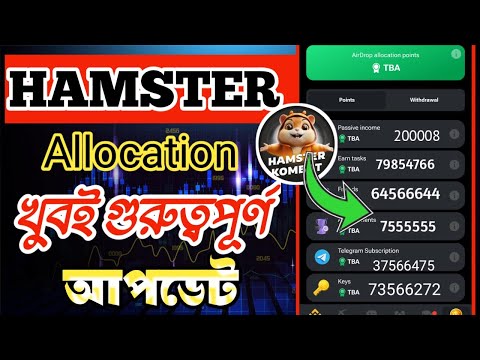 Hamster Kombat New Update || আপনি কত টোকেন পাবেন || Hamster token allocation || গুরুত্বপূর্ণ ভিডিও