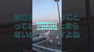 【新千歳空港内のホテル!?】早朝便や深夜便にも！エアターミナルホテル札幌へ泊まってみた 【朝からアイスが食べ放題】#shorts