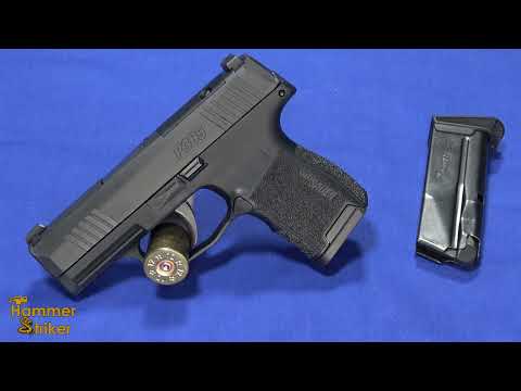 Review & Range: New 380 Sig Sauer P365 (Part 2)