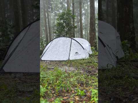 SOLO CAMPING IN HEAVY RAIN #shorts