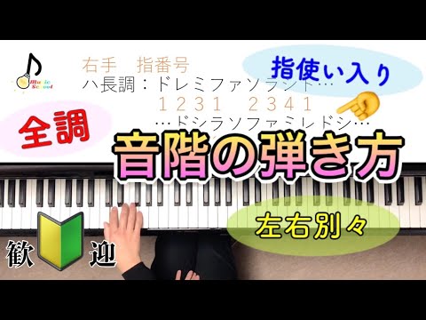 【全調・左右別】音階の弾き方【音大卒が教える】