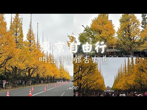 [東京自由行］2023 東京紅葉之旅 - 明治神宮銀杏大道，金黃色的樹海