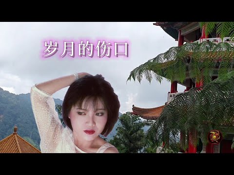 岁月的伤口~龙飘飘演唱