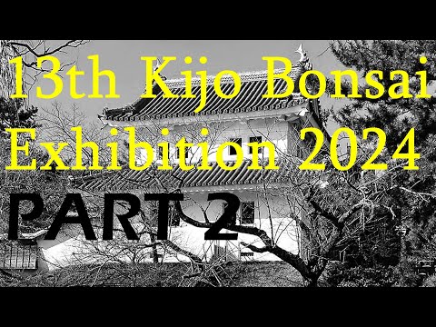 13th Kijo Bonsai Exhibition - 第13回 亀城盆栽展 2024 January (PART 2)