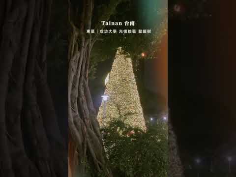 台南 Tainan｜原來成功大學也有一棵大聖誕樹 🎄