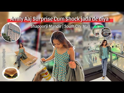 Amity Se Mila Aaj Surprise Cum Shocking | Shapoorji Ka Mandir | Veg burger Recipe | #vlog | MG434