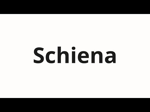 How to pronounce Schiena