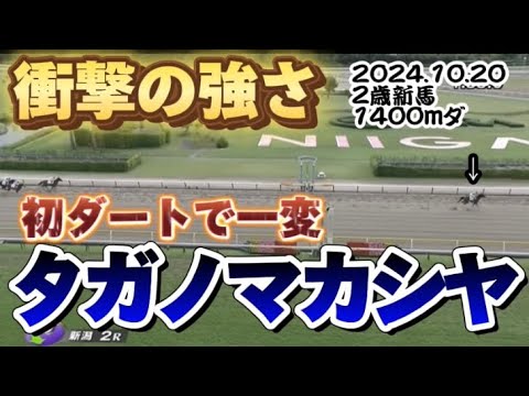 【2歳未勝利】タガノマカシヤ初ダートで大差勝ち