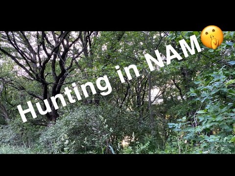 Coyote Hunting In Vietnam!!!! (With Trail Hounds)