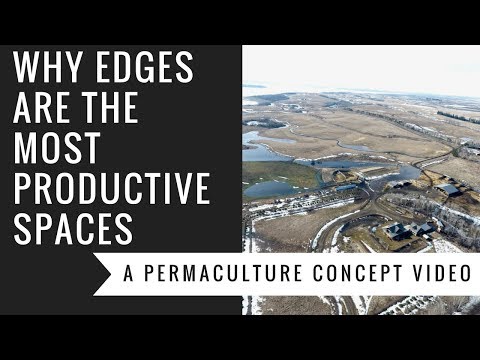 Why Edges Are More Productive - A permaculture concepts video