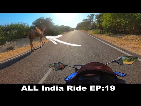 😨R15 V3 Bumped Into Wild Camel's In Rajasthan | EP:19 | Tamil Motovlog | All India ride