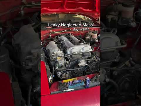 Satisfying Engine Bay Transformation! (in 11 seconds)