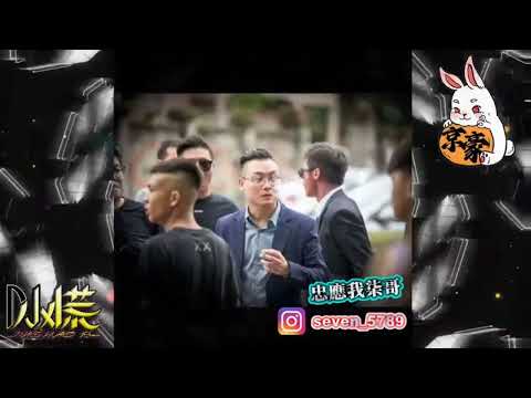 Dj小慌-騙子「你那蓄謀已久的轉身離開，以為我傻我蠢我看不出來，我想每個騙子多少有點自以為是」（Remix）