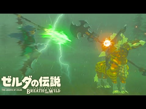 Lynel Killer [The Legend of Zelda: Breath of the Wild].