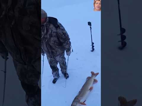 #wow #cool #fish #icefishing #winter #carpfishing #icefishinglife #winterfishing #icefish