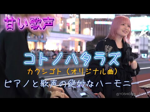 名古屋から凄い二人組が！、コトノハタラズ『カクシゴト』初新宿ライブ