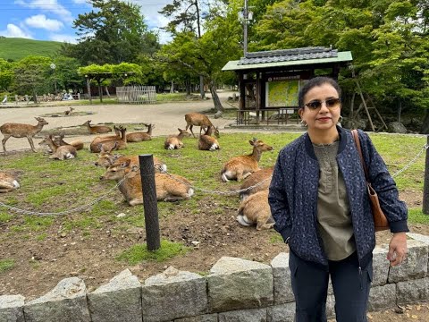 Japan Trip 2024 - Day 5 - Nara (Day trip to Nara from Osaka, Nara Park, Tōdai-ji Temple)