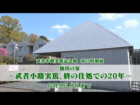 武者小路実篤記念館 春の特別展「仙川の家ー武者小路実篤、終の住処での20年ー」(2024年5月20日号)