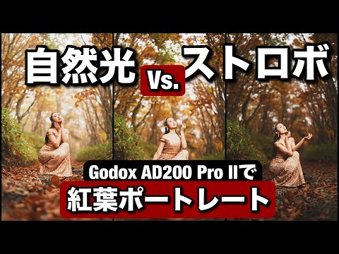 自然光 vs. ストロボ！ Godox AD200 Pro IIで、紅葉ポートレート撮影！ Amazon プライムデーで安くなった便利なストロボ機材を見せまーす！