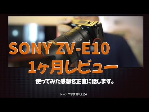 【やっぱり10より1がいい！】SONY ZV-E10を1ヶ月使った感想を正直に話します。