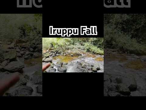 Iruppu fall #youtube #motovlog #youtubeshorts #shortvideo #insta360oners #kerala #karnataka #fall