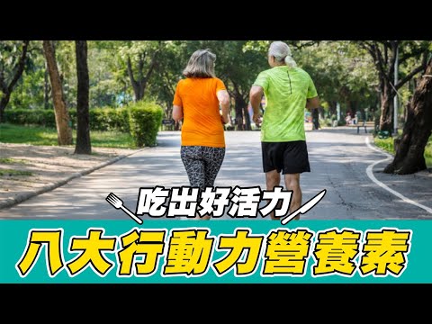 【亞尼活力】行動力受限?8大營養素吃出好活力