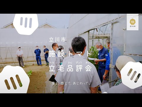 【立川印 -野菜編-】立川産トマトの技術が光る「品評会」に迫る！