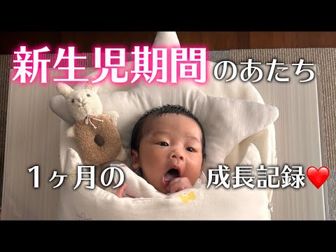 新生児期間の動画をまとめたら、ただただ可愛いが溢れた。