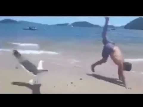 Funniest Moments Compilation – Try Not to Laugh!