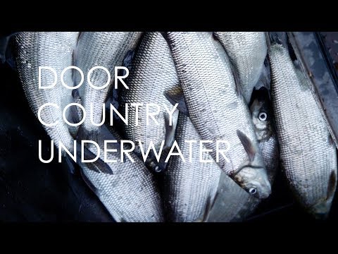 Door County Underwater | Henriksen Fisheries | Wisconsin Foodie