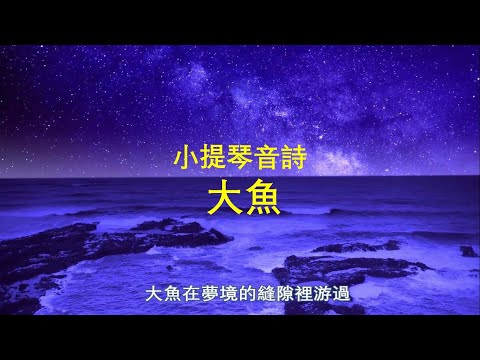 【大魚】 BIG FISH 原唱: 周深 / 小提琴版演奏: 商泉 / 根据電影《大鱼海棠》片尾曲重新編曲/中文字幕/沉浸式体验/大鱼梦境的傳奇